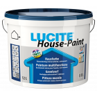 Lucite House-Paint
